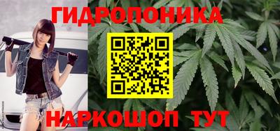 молекула духа Коммунар