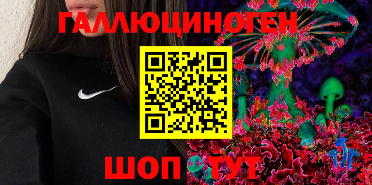 Псилоцибиновые грибы Psilocybe Керчь